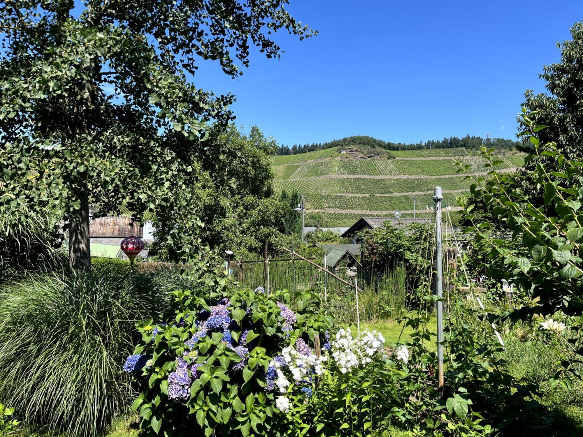 Landhaus Martina Brauneberg Dış mekan fotoğraf